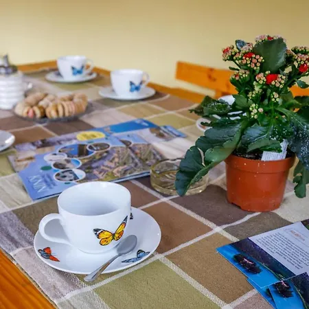 Gorgeous In Knin With Kitchen *